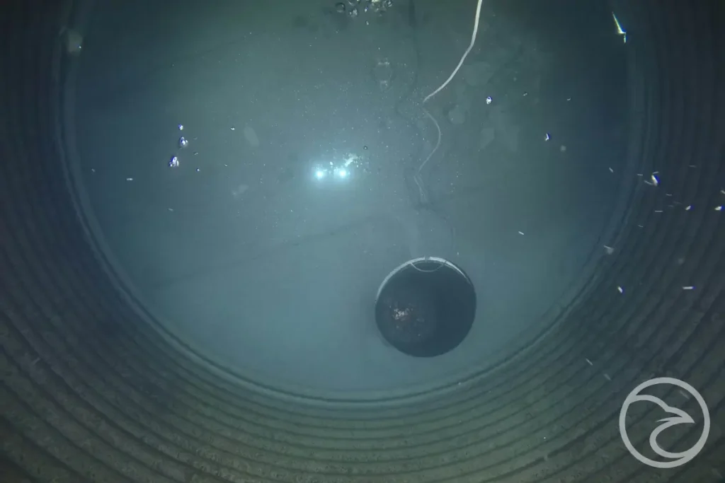 Drone or manual inspection