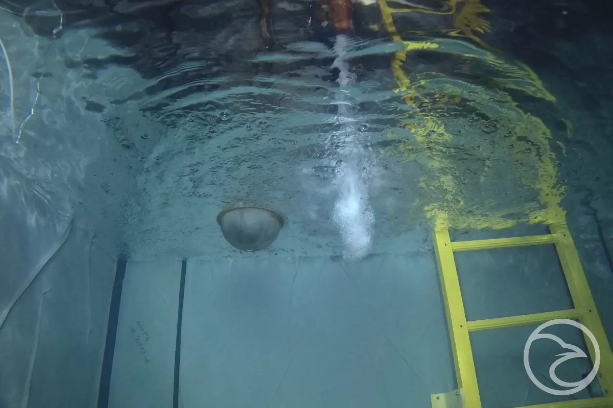 Underwater drone inspections of potable water tank interior