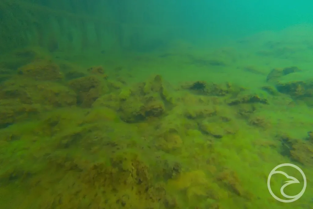 ROV drone checking sediment build-up inside water tank