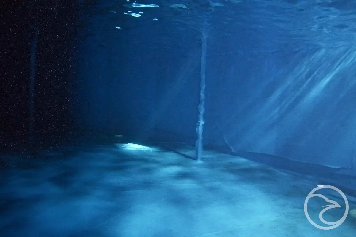 Internal drone inspection of fire water tank under AS1851-2012 compliance