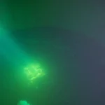 potable water tank inspection ensuring compliance with Australian standards