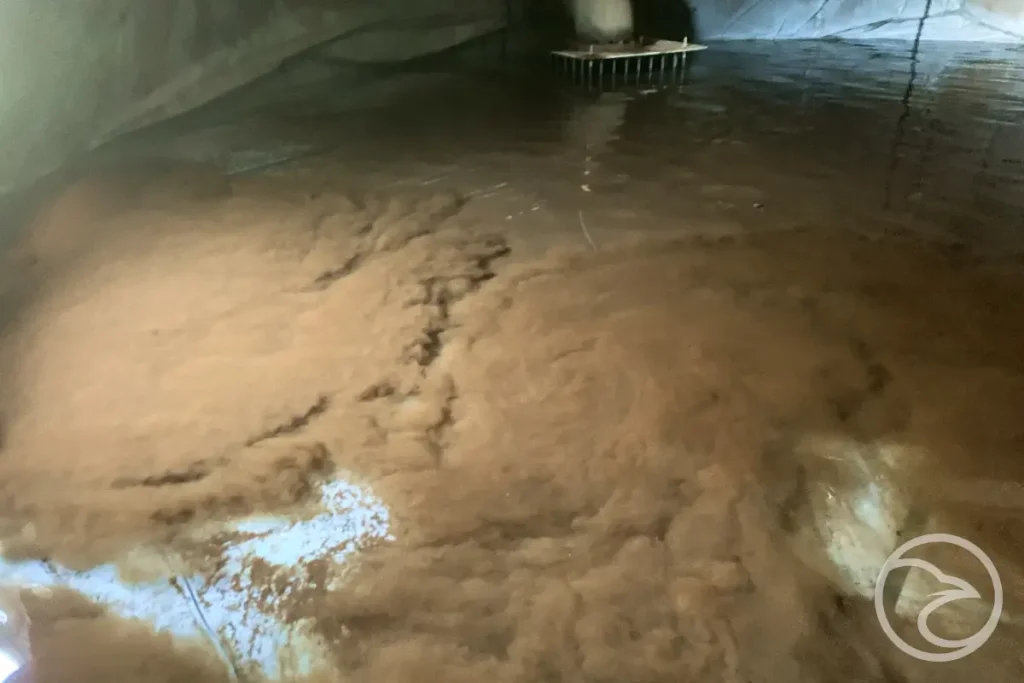 Internal view showing sediment in storage tanks under stagnant conditions